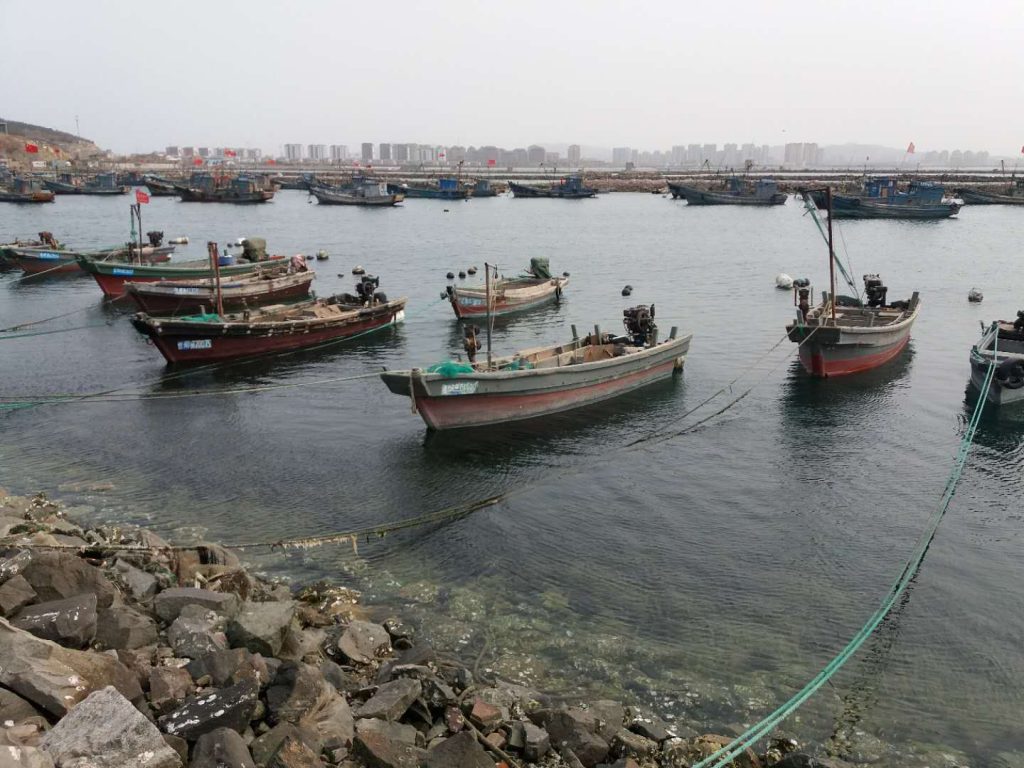 Habour Yantai China